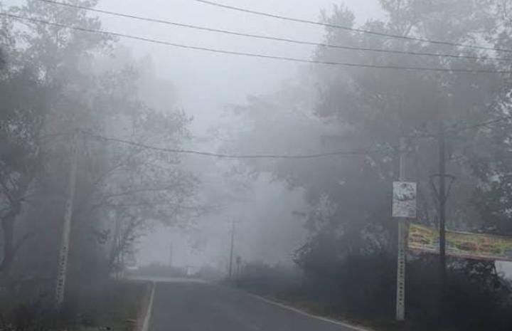 Weather Alert:कोहरा और बर्फीली हवा से झारखंड के लोगों का हाल बेहाल, पढ़े IMD का ताजा अपडेट