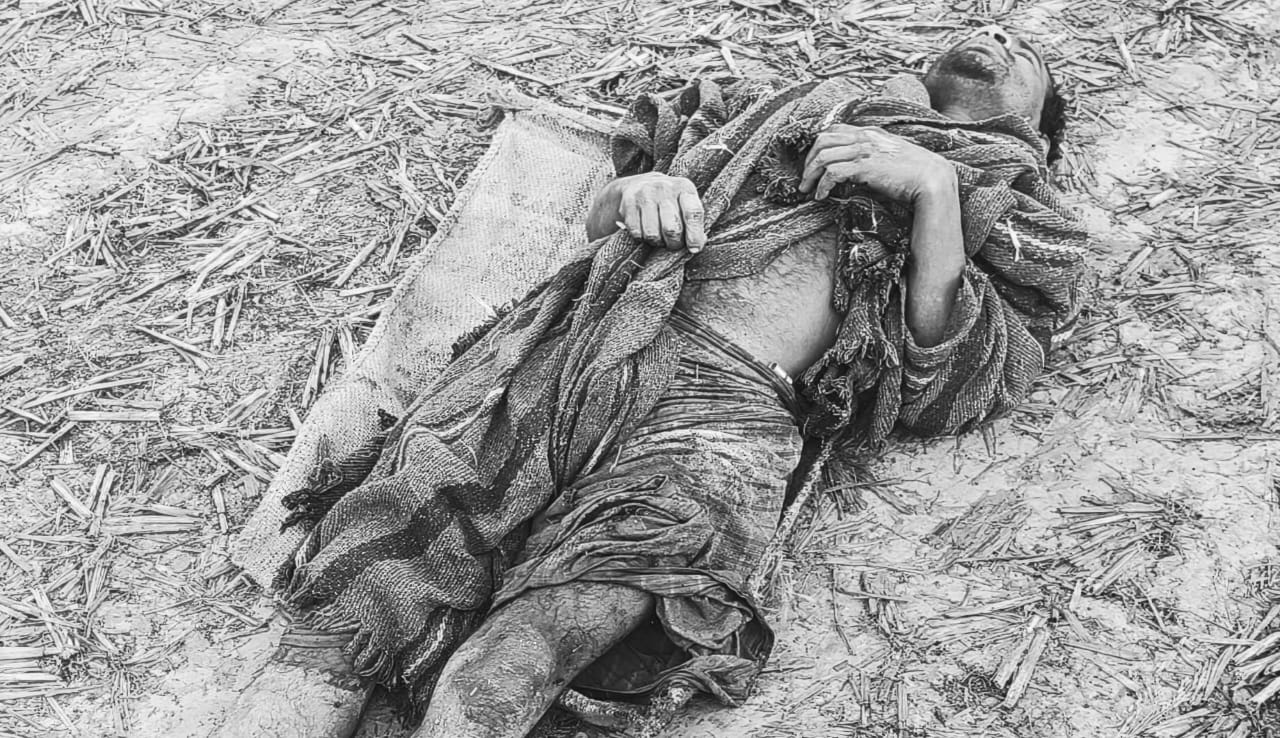 सरायकेला के नीमडीह में गजराज का तांडव, शौच करने गए युवक को जंगली हाथियों ने पटका