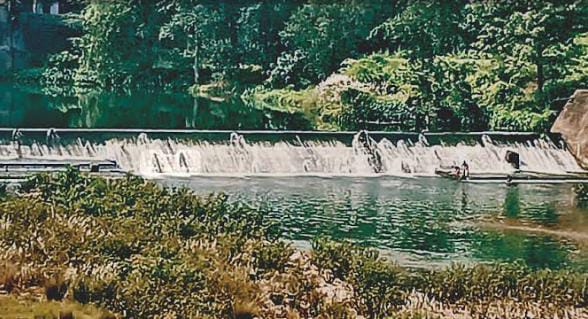 প্রাণিসম্পদমন্ত্রীর