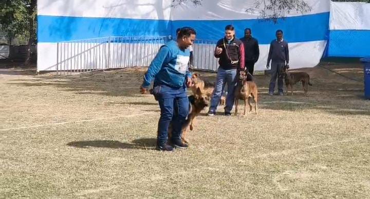 लौहनगरी में 9 से 11 जनवरी तक दिखेगा डोगेश भाई का जलवा! डॉग शो में 43 डोमेस्टिक और इंटरनेशनल ब्रीड का होगा दीदार