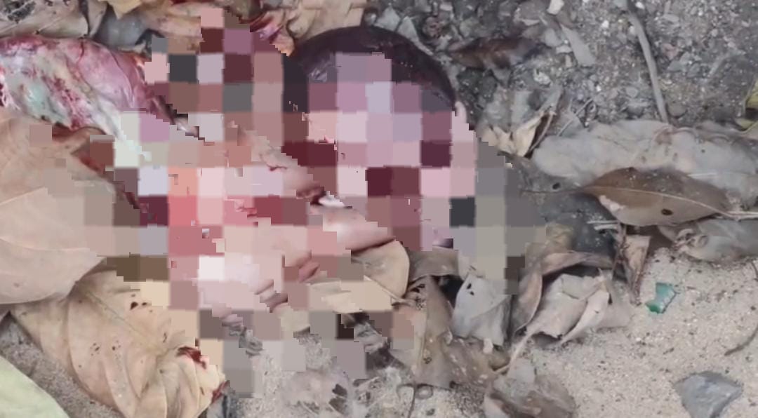 धनबाद में मानवता शर्मसार!  झरिया में नवजात शिशु का शव बरामद, जांच में जुटी पुलिस 