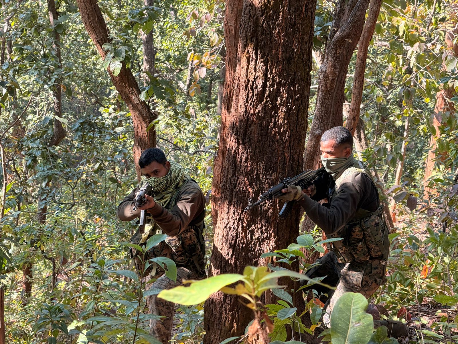 बड़ी खबर: सारंडा में फिर से मुठभेड़ शुरू, 2 और नक्सली ढेर, घिर गया बड़ा नक्सली नेता मिसिर बेसरा!