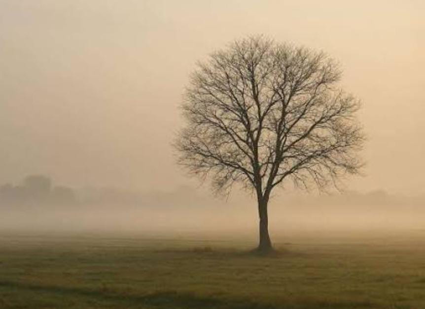 Weather Alert:पहाड़ी क्षेत्र में बर्फबारी ने बदल दिया झारखंड का मौसम, पढ़े IMD का ताजा अपडेट