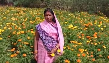 सरकारी मदद की आस में फूलों के किसान, सरकार से नहीं मिल रहा अपेक्षित सहयोग