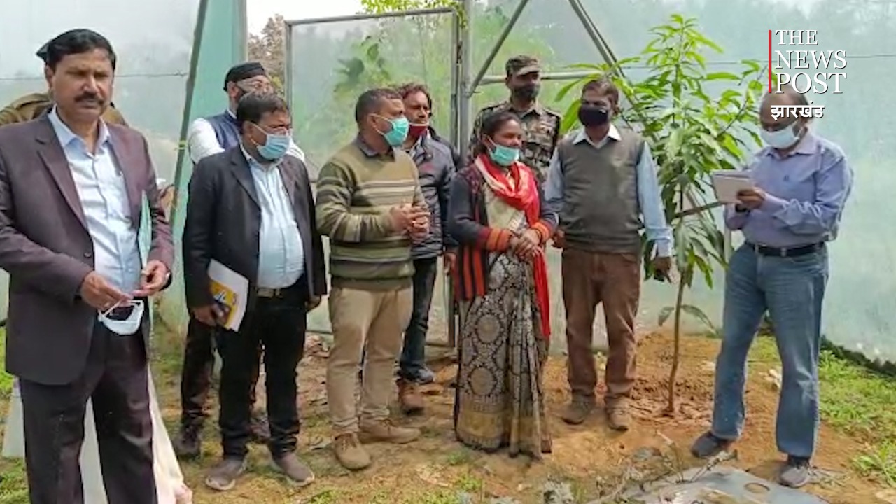 लोहरदगा में खुशहाली ला रहा जरबेरा फूल, खत्म हो रहा पलायन का दंश