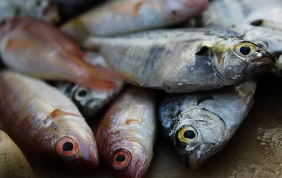 यूपी के बाद अब बिहार में भी खुले में मांस-मछली बिक्री पर रोक,बिना लाइसेंस पकड़े जाने पर होगी कार्रवाई