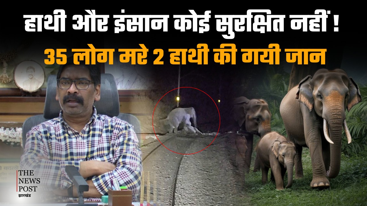 झारखंड में हाथी और इंसान दोनों असुरक्षित!सीएम के आदेश के बाद भी नींद में सोया है वन विभाग