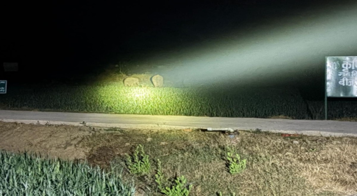 नवादा में गजराज के उत्पात से दहशत,शहर में प्रवेश रोकने के लिए जलाई आग