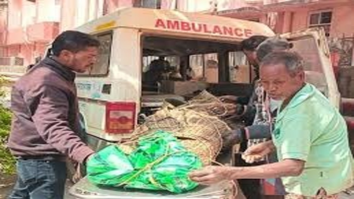 जंगल में पेड़ से लटका मिला युवक का शव, पत्नी से लड़कर तीन दिन से था लापता