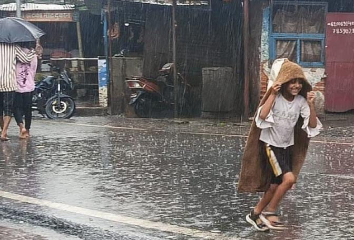 প্রাণিসম্পদমন্ত্রীর