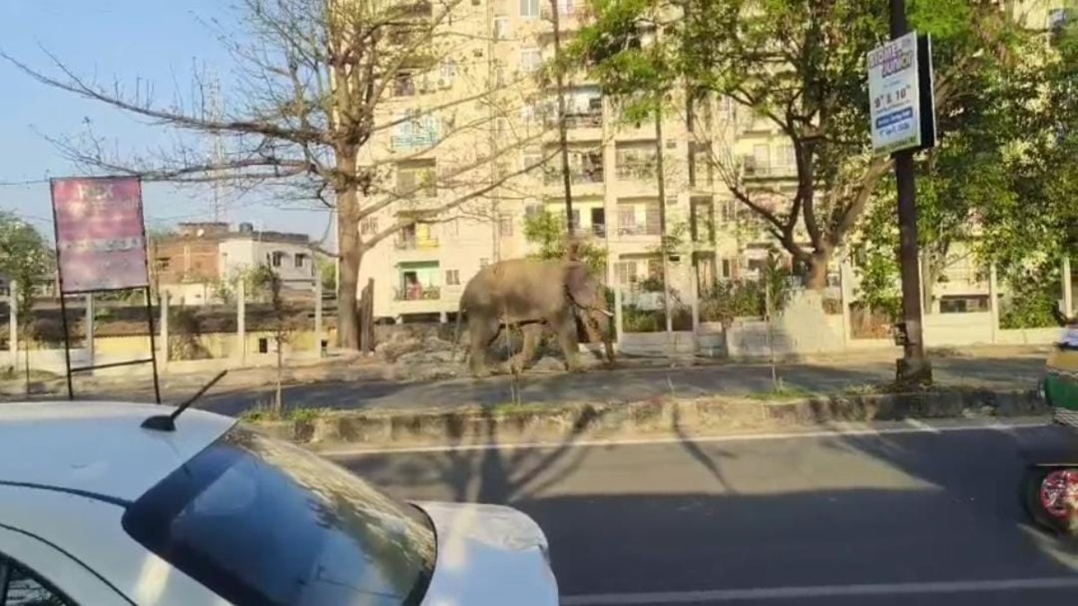 প্রাণিসম্পদমন্ত্রীর