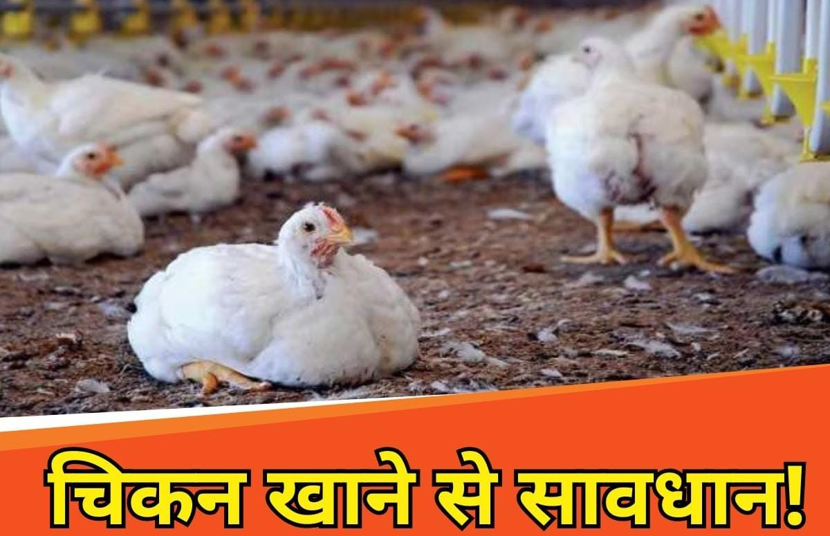 প্রাণিসম্পদমন্ত্রীর