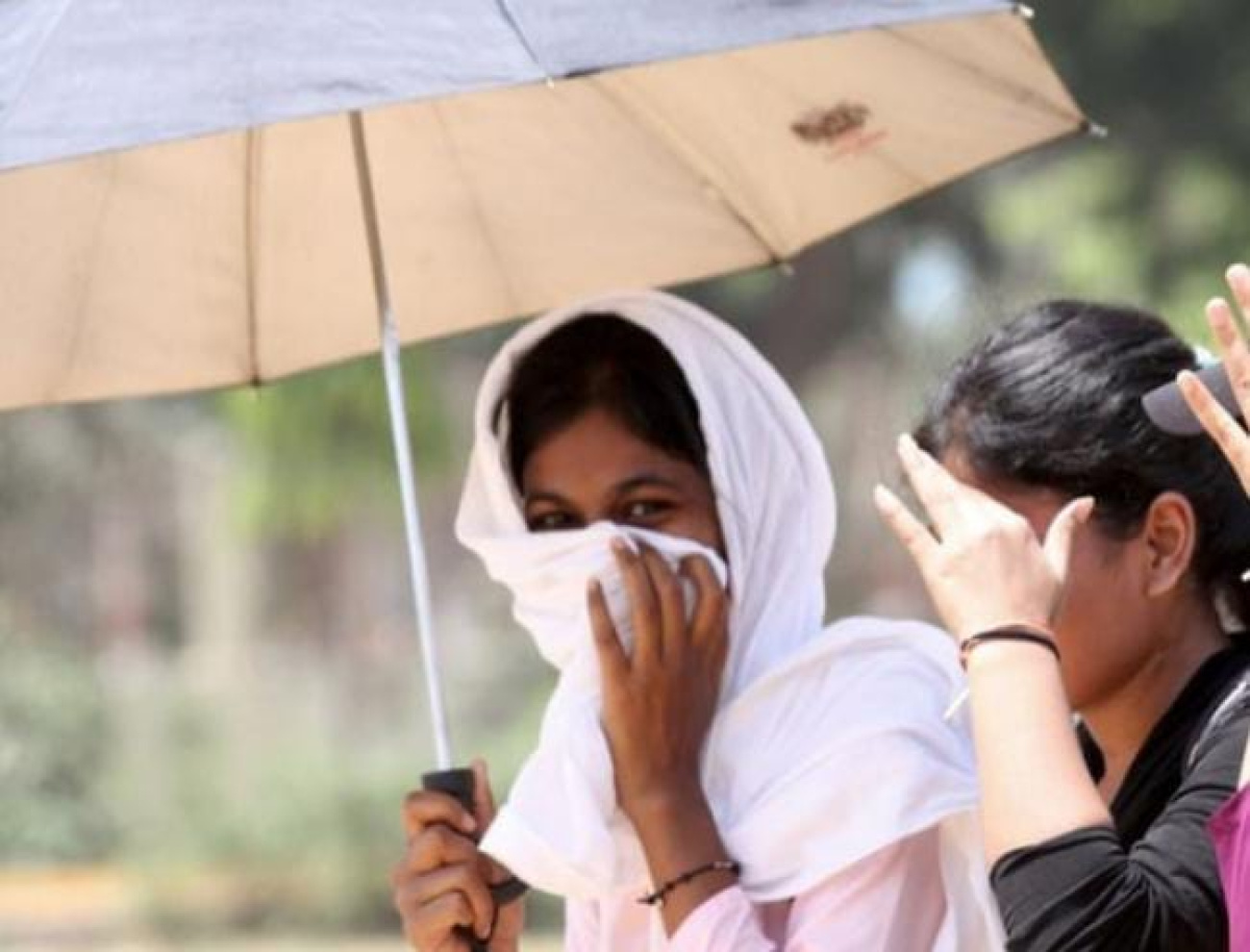 প্রাণিসম্পদমন্ত্রীর