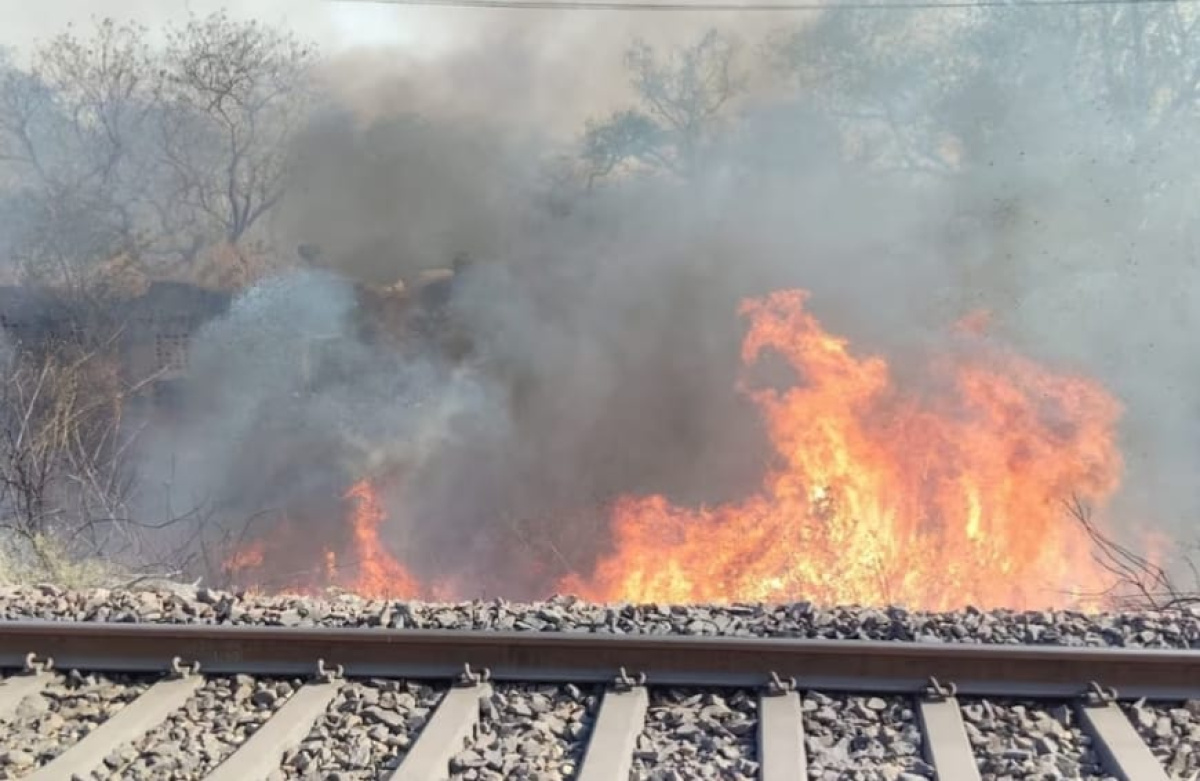 প্রাণিসম্পদমন্ত্রীর