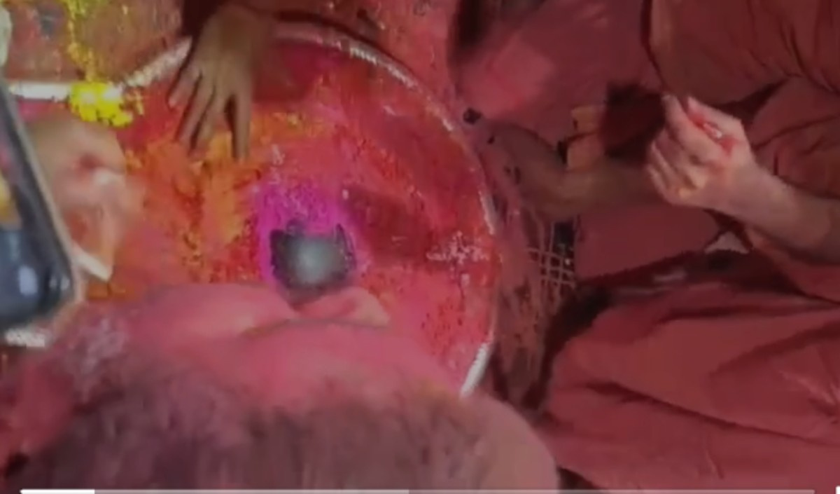 फाल्गुन पूर्णिमा पर हुआ अद्भुत हरि-हर मिलन, बैद्यनाथ धाम में निभायी गई अति प्राचीन परंपरा