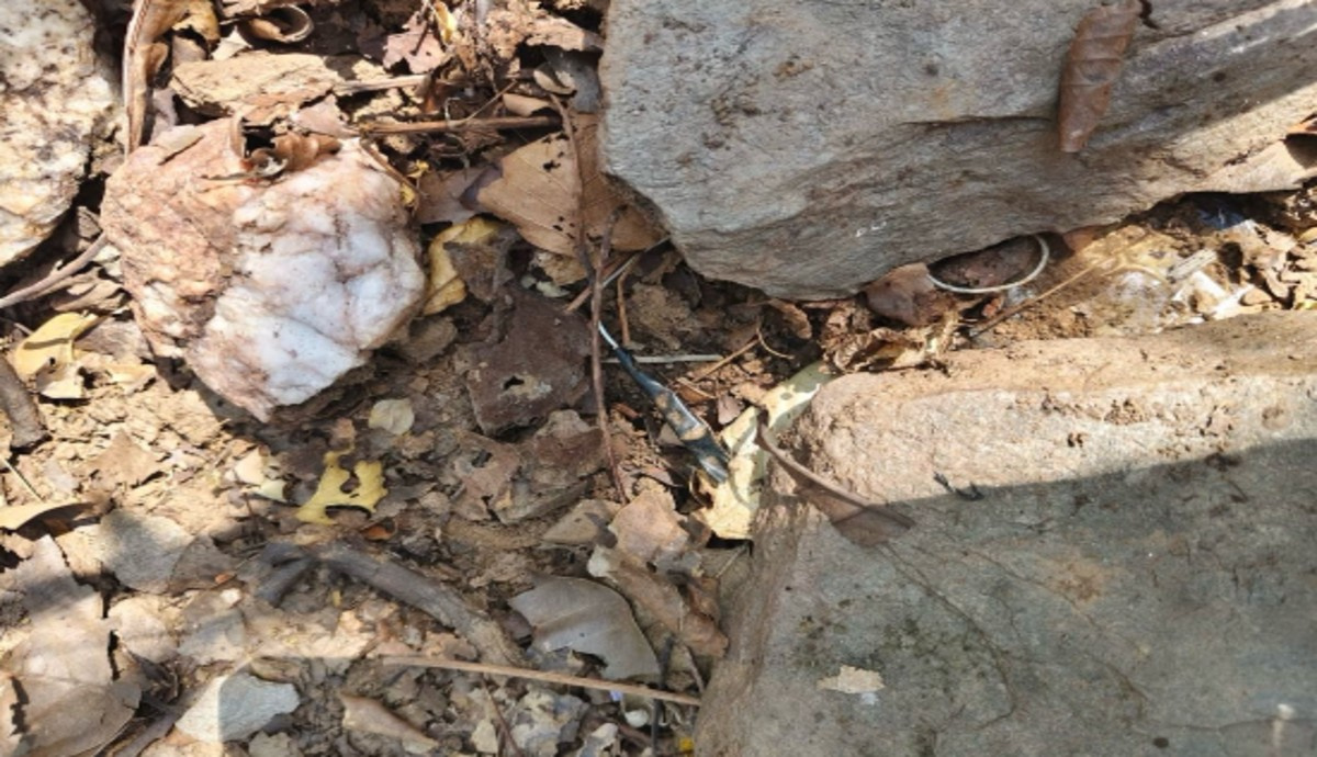 सारंडा में सुरक्षा बलों को बड़ी सफलता, सड़क किनारे लगा IED किया डिफ्यूज