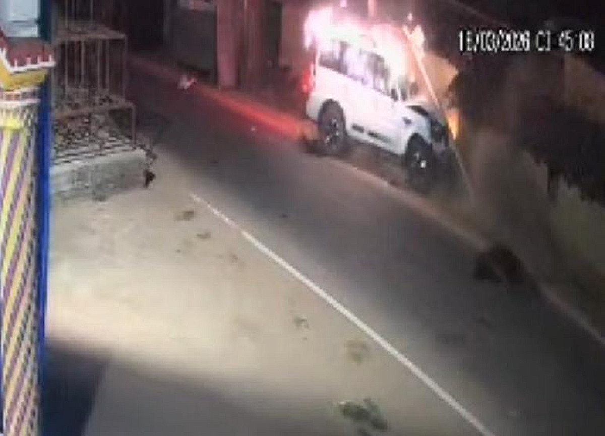 मवेशियों को लेकर जा रहा था युवक तभी अचानक स्कार्पियो ने मार दी जोरदार टक्कर, देखिए LIVE VIDEO 