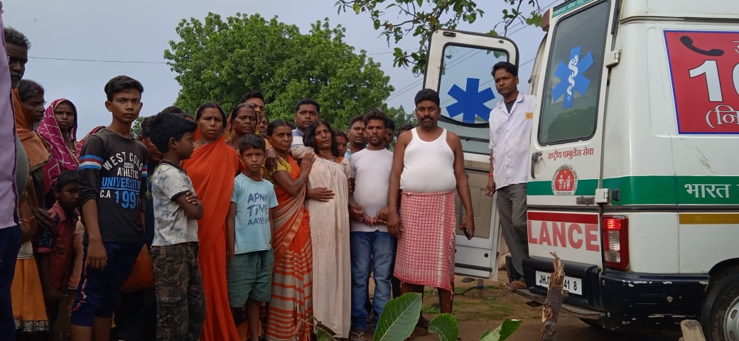 महुआटांड में हाथी ने महिला को किया घायल, कई घरों को भी किया क्षतिग्रस्त