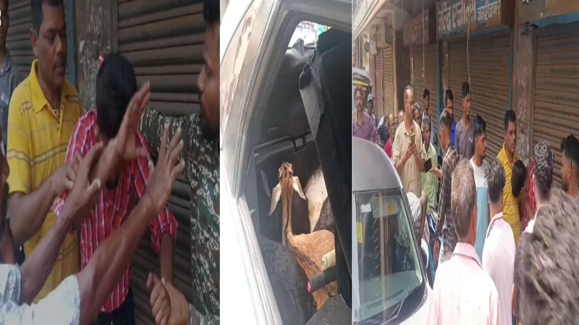 चोरी की बकरियों के साथ पकड़ा गया आरोपी, जमशेदपुर के परसुडीह में हाई वोल्टेज ड्रामा