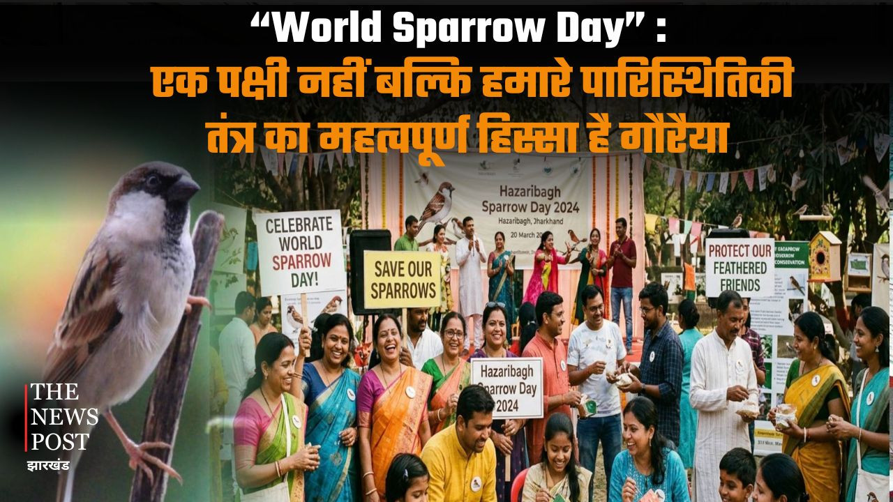 World Sparrow Day : एक पक्षी नहीं बल्कि हमारे पारिस्थितिकी तंत्र का महत्वपूर्ण हिस्सा है गौरैया