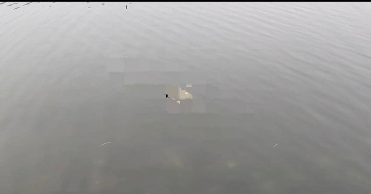 ब्रेकिंग : जमशेदपुर के डिमना लेक से अज्ञात महिला का शव मिलने से हड़कंप, जांच में जुटी पुलिस