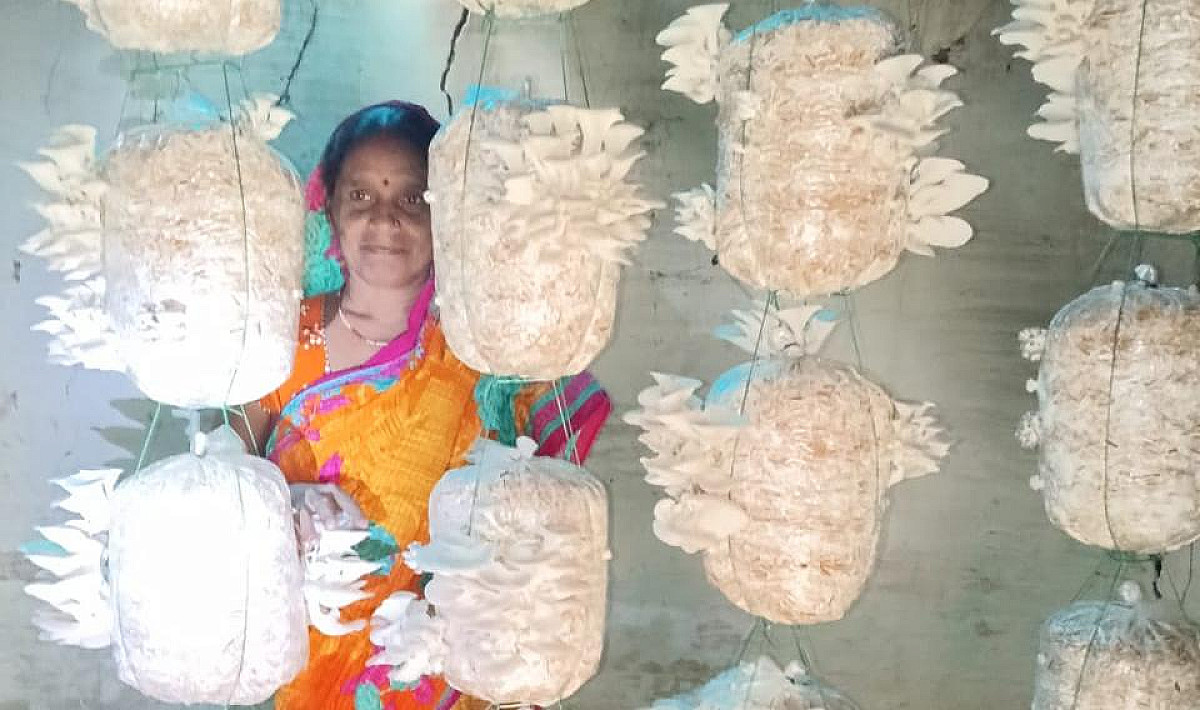 लौहनगरी की महिलाएं बन रही है आत्मनिर्भर, मशरूम उत्पादन से मिल रही नई पहचान