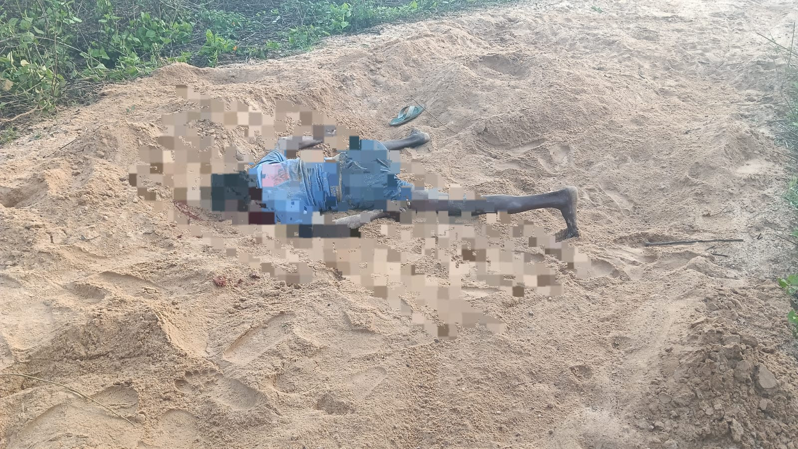 चांडिल में नहीं थम रहा गजराज का आतंक, 6 हाथियों के झुंड ने कुचलकर ली बुजुर्ग की जान