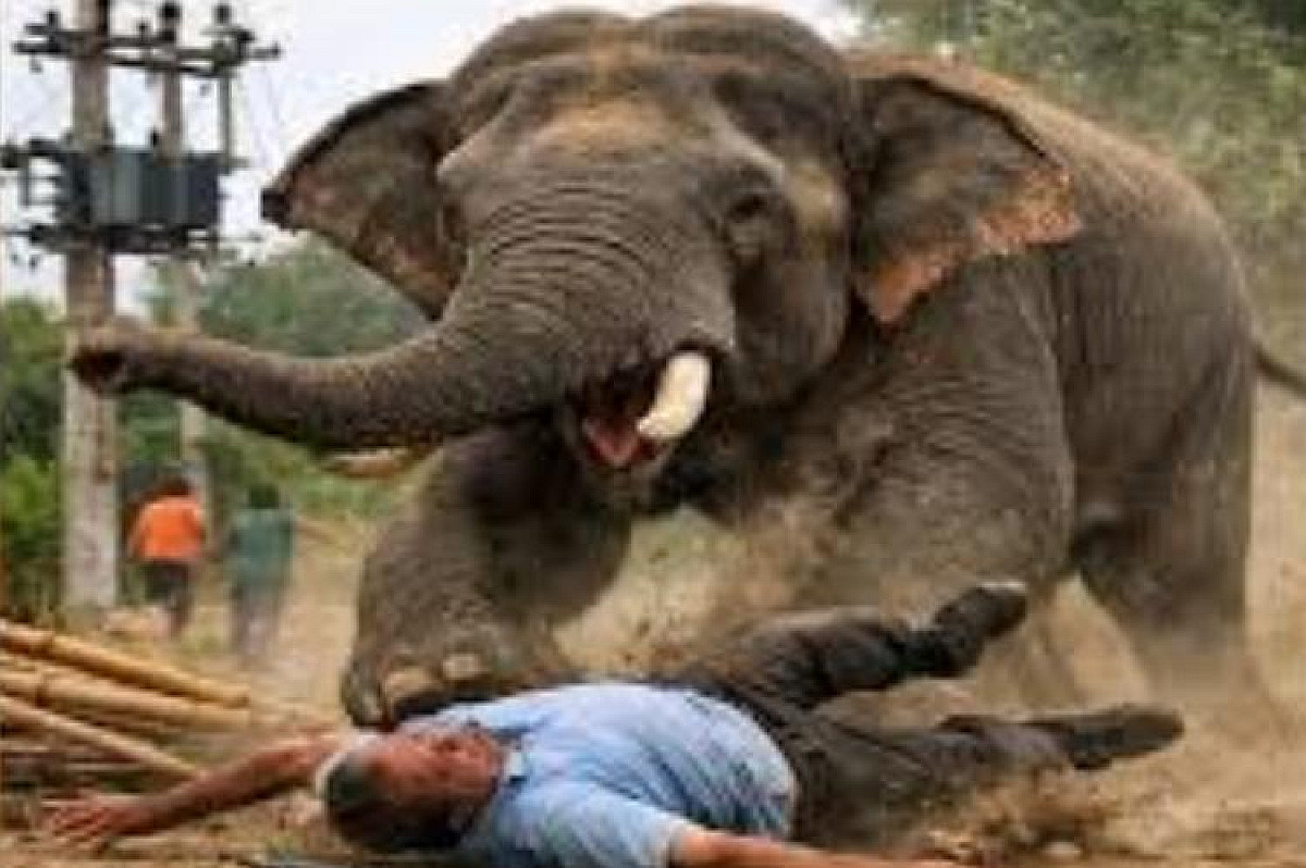 প্রাণিসম্পদমন্ত্রীর