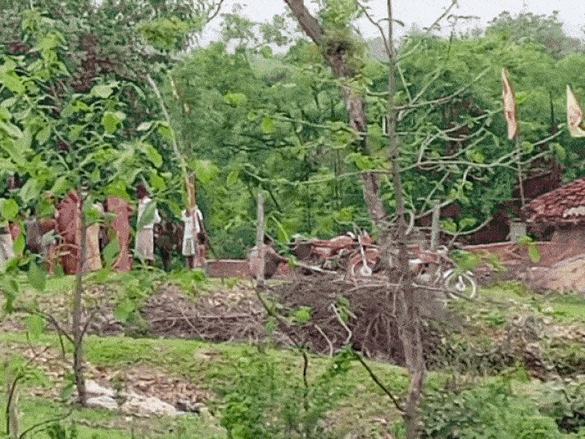 প্রাণিসম্পদমন্ত্রীর