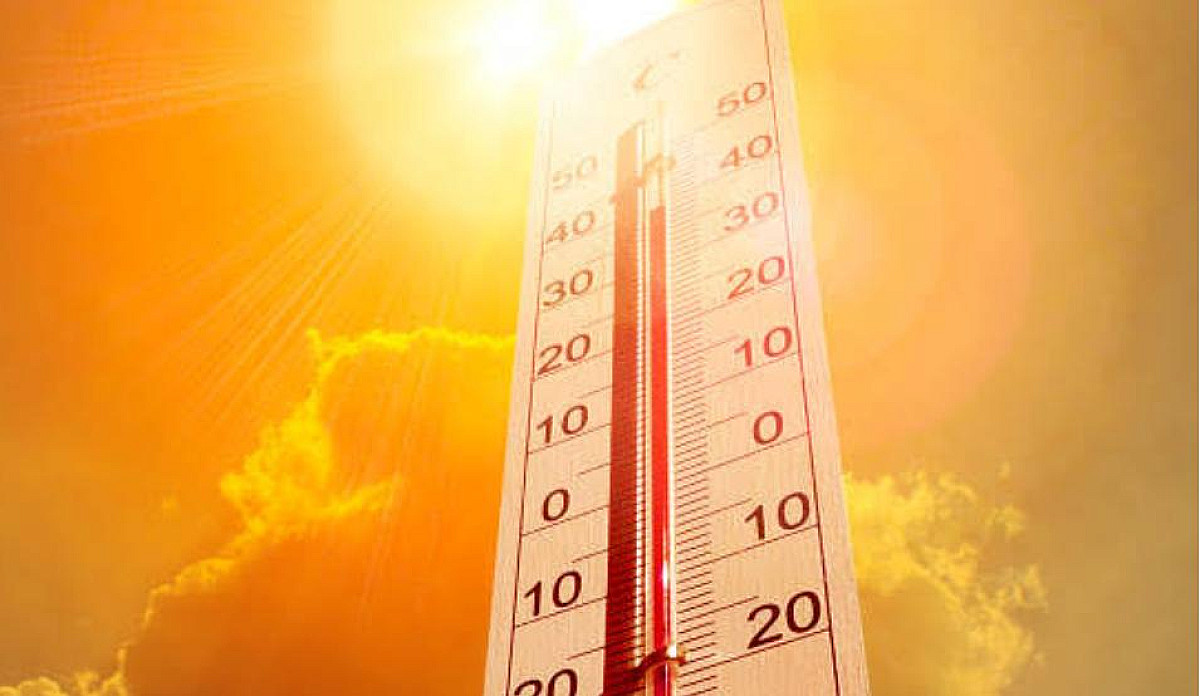 প্রাণিসম্পদমন্ত্রীর