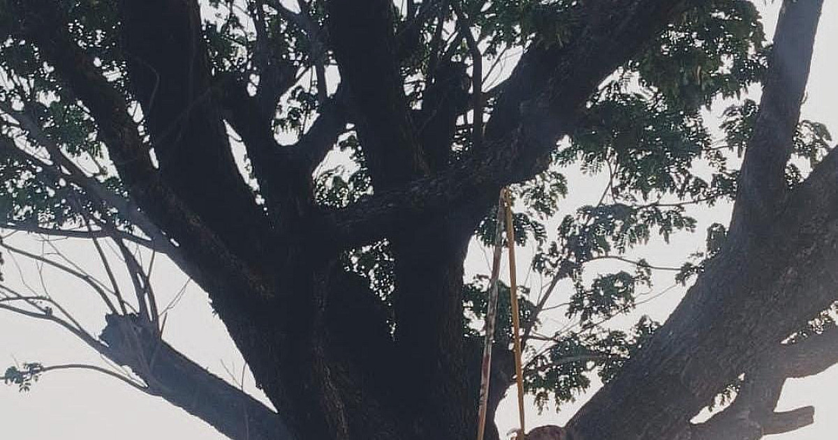 रांची में जीजा साली का पेड़ से झूलता मिला शव,इलाके में सनसनी,जाँच में जुटी पुलिस