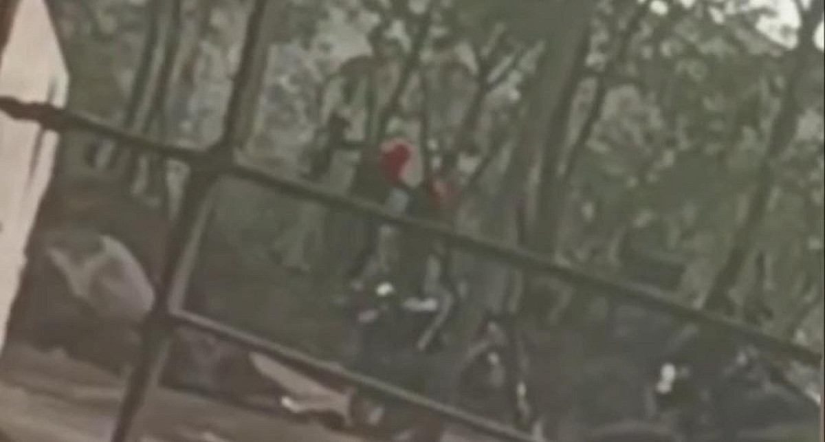 প্রাণিসম্পদমন্ত্রীর