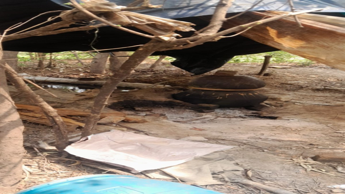 झारखंड-बंगाल सीमा पर सख्ती: अवैध शराब के 4 ठिकाने किए गए ध्वस्त