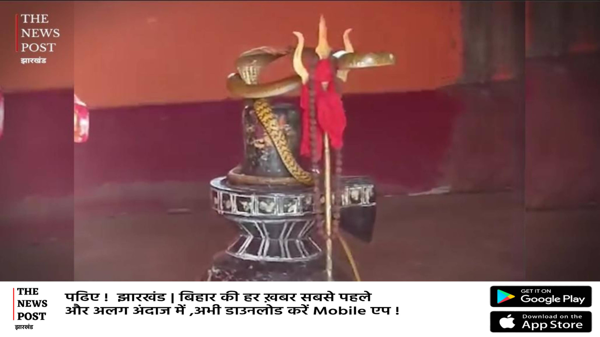 शिवलिंग पर ऐसे लिपटे नाग देवता, की देखने के लिए लग गई श्रद्धालुओं की भीड़, वीडियो हो रहा वायरल