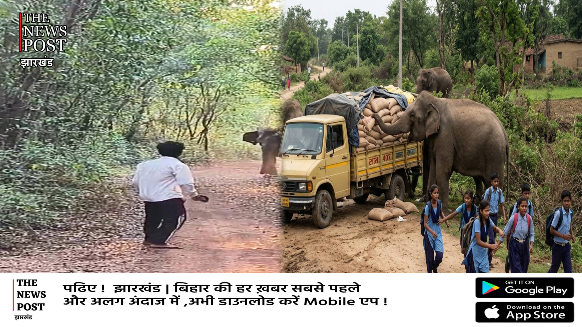 প্রাণিসম্পদমন্ত্রীর