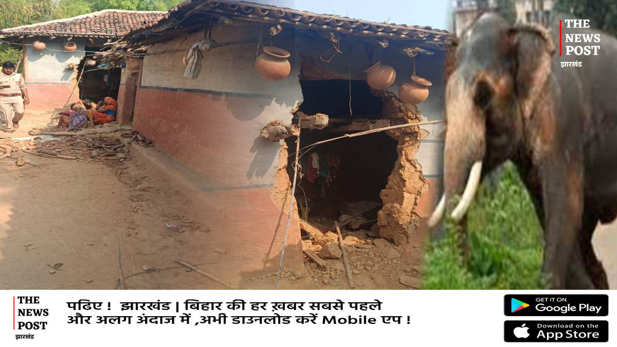 सरायकेला के इचागढ़ में हाथियों ने बरपाया कहर, जंगली हाथी ने मां-बेटी को कुचलकर उतारा मौत के घाट 