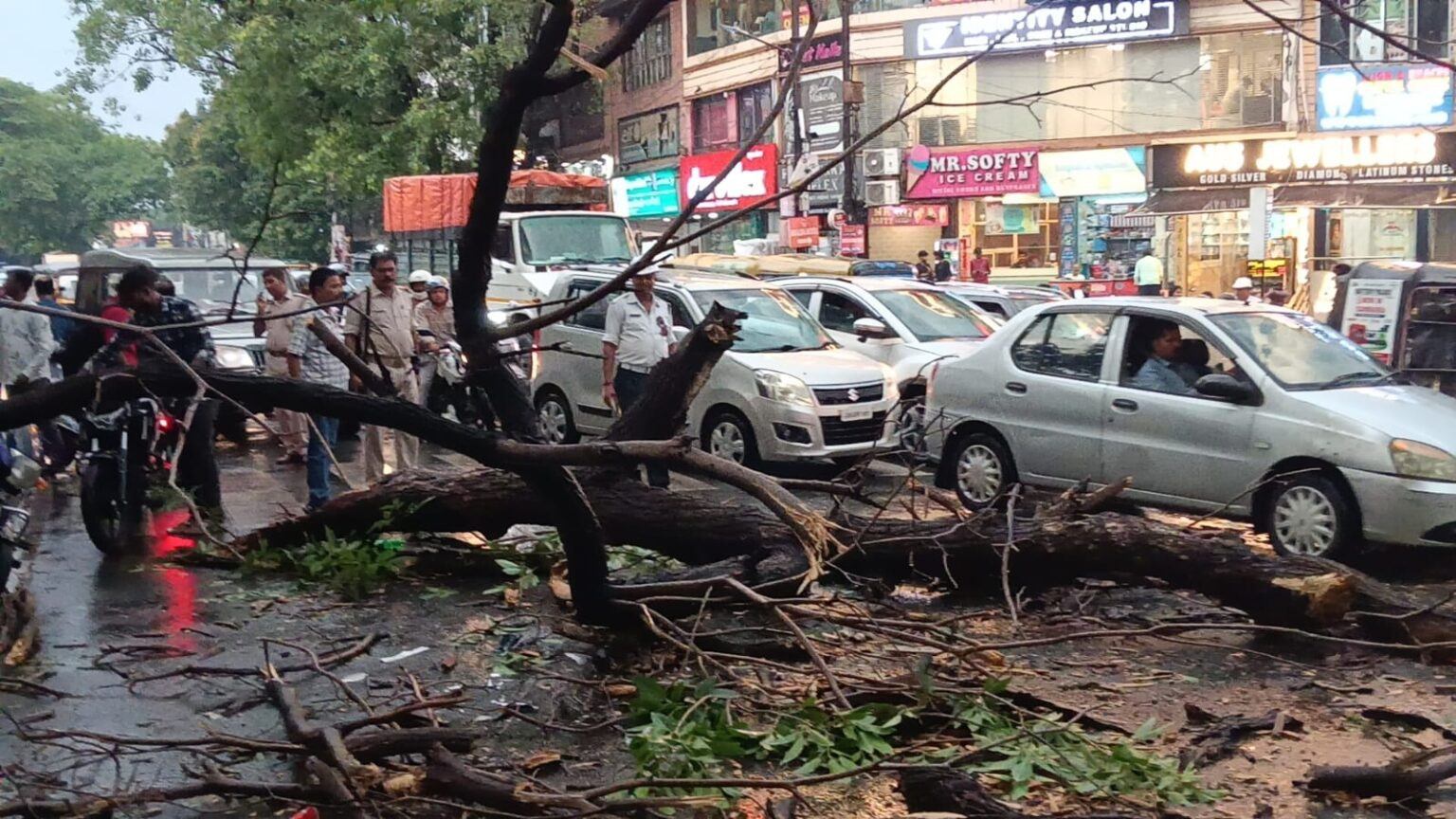 तेज आंधी-बारिश में शहर में कई पेड़ गिरे, साकची में बाइक सवार घायल