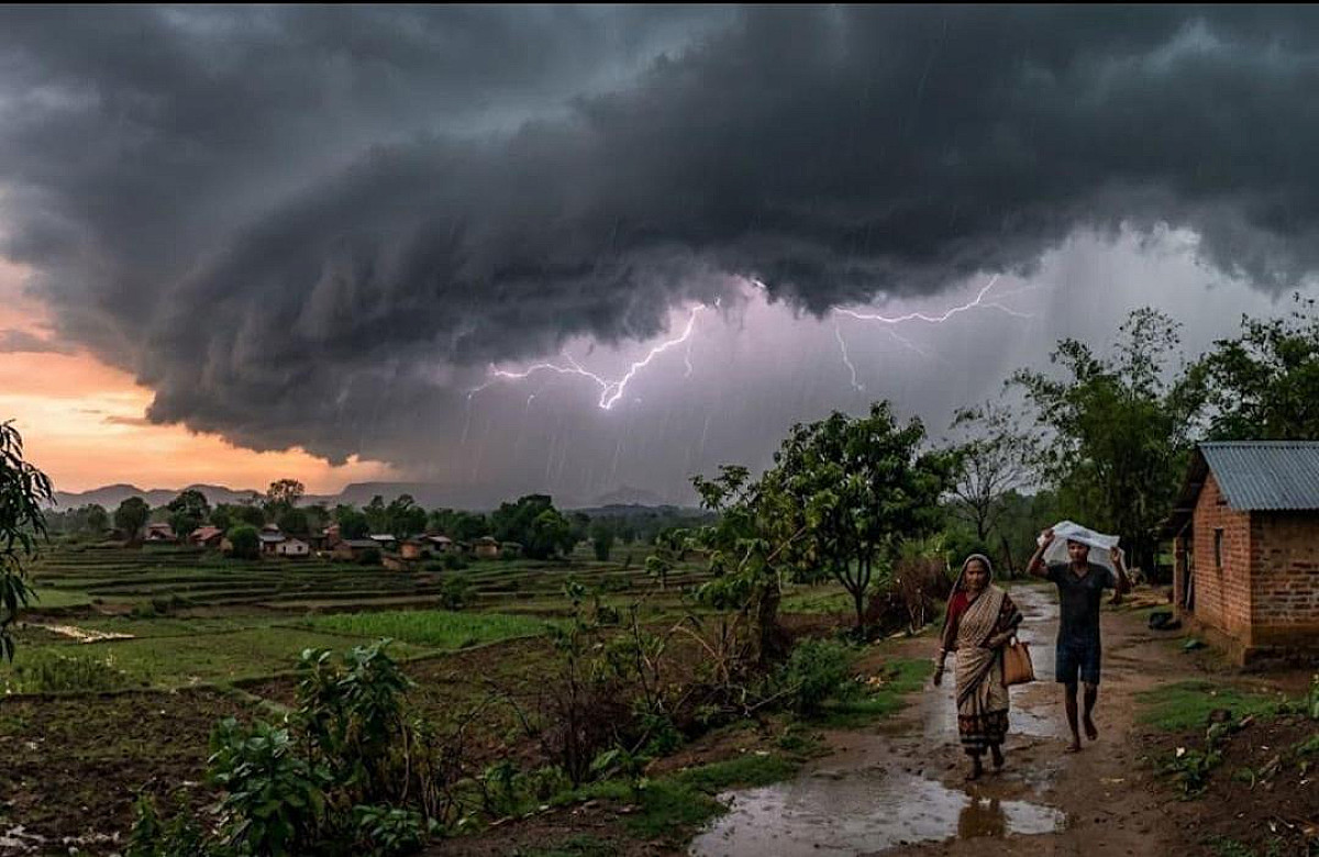 প্রাণিসম্পদমন্ত্রীর