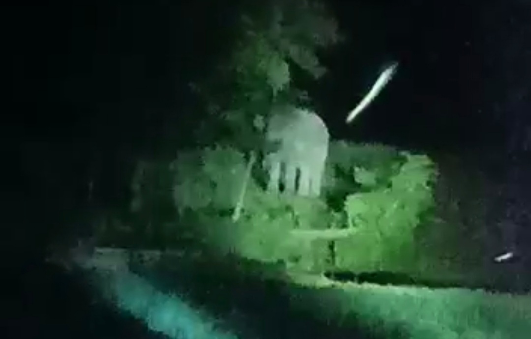 जंगली हाथी ने मचाया उत्पात , घरों में दुबके लोग..वन विभाग की टीम ने शुरू किया अभियान