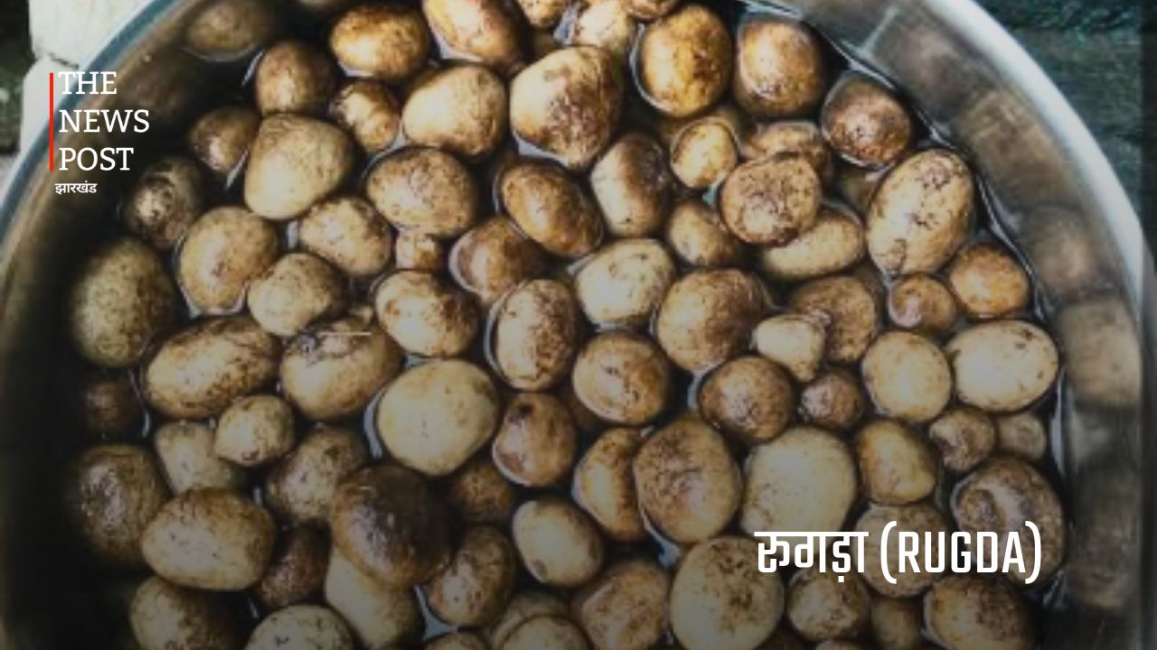 झारखंड की जंगली सब्जियां : जिनकी कीमत मौसम और उपलब्धता के अनुसार सैकड़ों से लेकर हजारों रुपये प्रति किलो तक पहुंच जाती है. - Photo 1