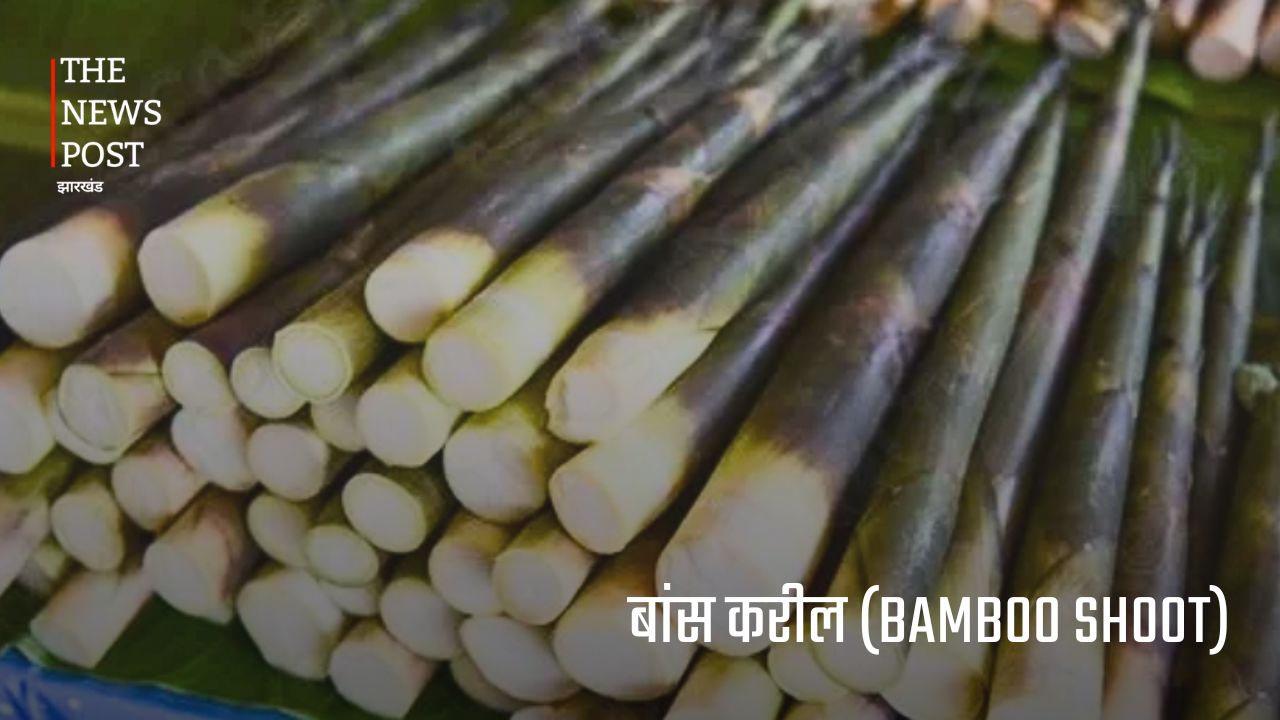 झारखंड की जंगली सब्जियां : जिनकी कीमत मौसम और उपलब्धता के अनुसार सैकड़ों से लेकर हजारों रुपये प्रति किलो तक पहुंच जाती है. - Photo 3