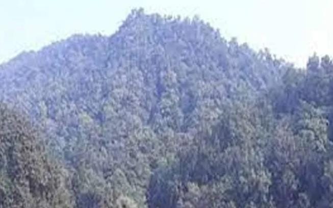 बूढा पहाड़ पर नक्सलियों में हड़कंप, कई नक्सली संगठन छोड़ हुए फरार