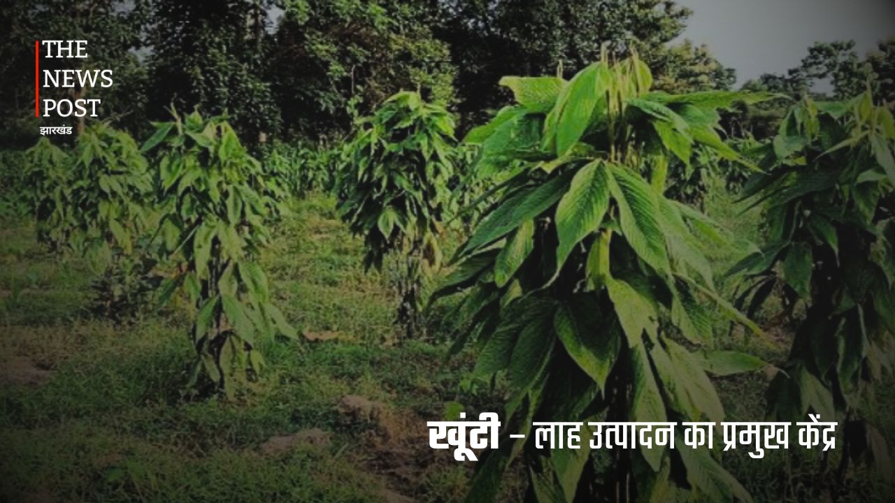खनिज से उद्योग तक: जानिए कैसे झारखंड के जिले बढ़ा रहे हैं भारत की आर्थिक ताकत - Photo 6