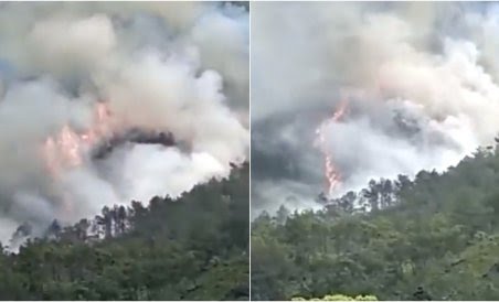 लाइव अपडेट : चीन में बड़ा विमान हादसा ,133 पैसेंजर थे सवार ,9 क्रू मेंबर्स भी थे प्लेन में