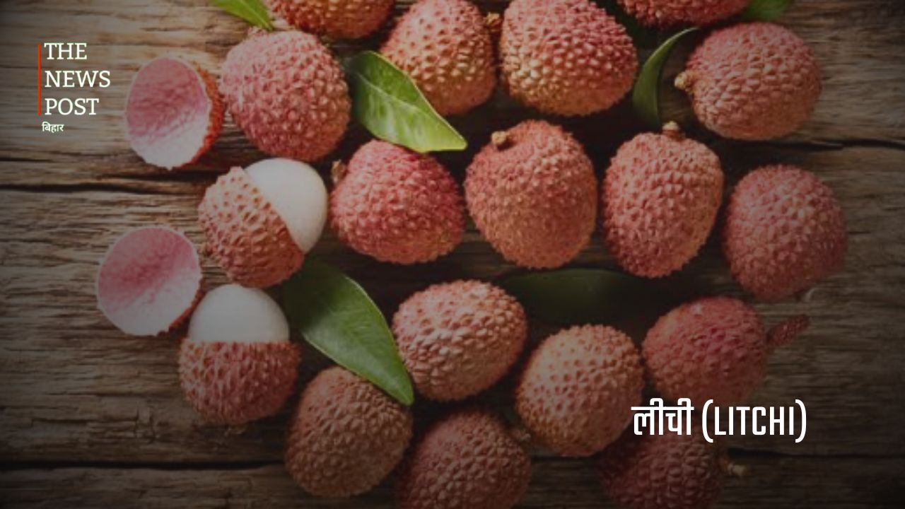 बिहार की अर्थव्यवस्था को मजबूत बनाने वाली प्रमुख कृषि फसलें - Photo 5