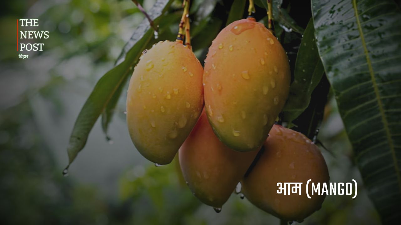 बिहार की अर्थव्यवस्था को मजबूत बनाने वाली प्रमुख कृषि फसलें - Photo 6