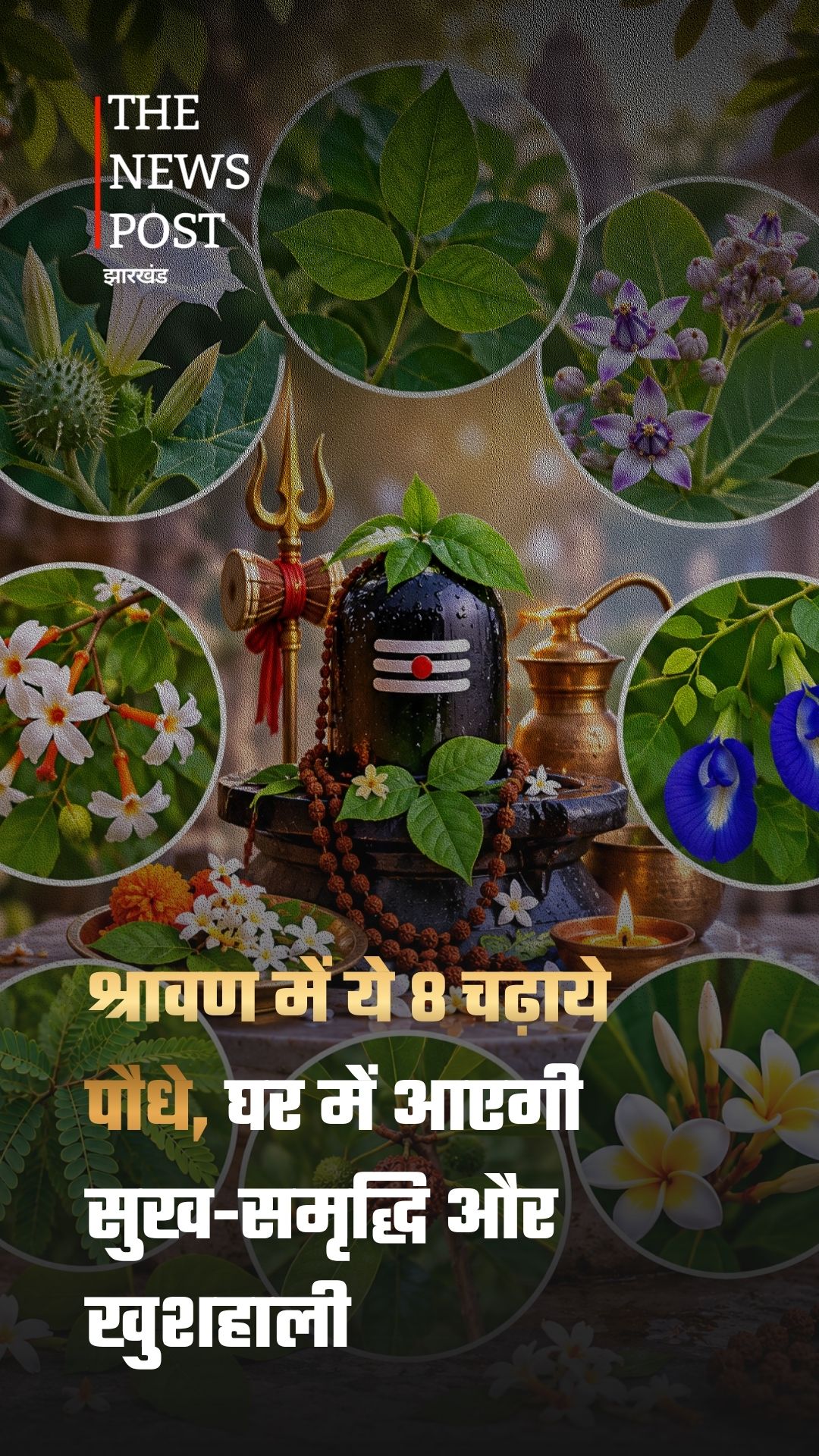 महादेव की कृपा चाहिए? सावन में इन 8 पौधों की करें पूजा