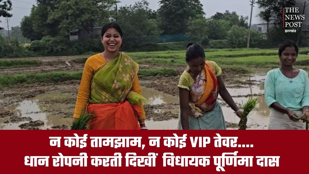 न कोई तामझाम, न कोई VIP तेवर... टोटो सवारी के बाद खेत में धान रोपनी करती दिखीं पूर्णिमा विधायक दास , देखिए