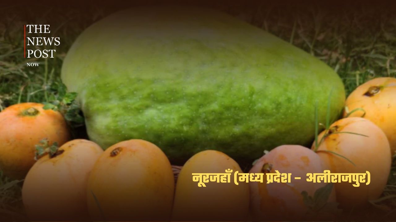 भारत के सबसे लोकप्रिय आम, जानिए किस राज्य की है कौन-सी पहचान - Photo 1