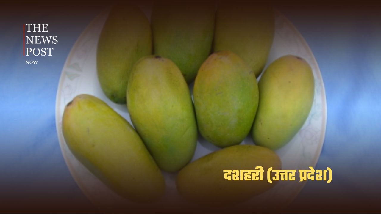 भारत के सबसे लोकप्रिय आम, जानिए किस राज्य की है कौन-सी पहचान - Photo 6